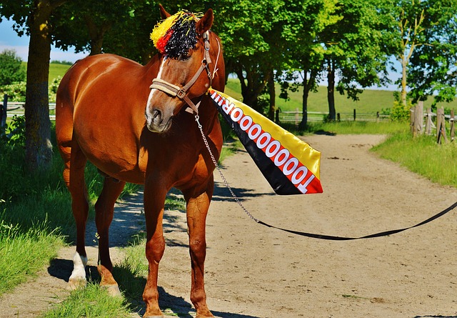 为皇马不可 为皇马不可