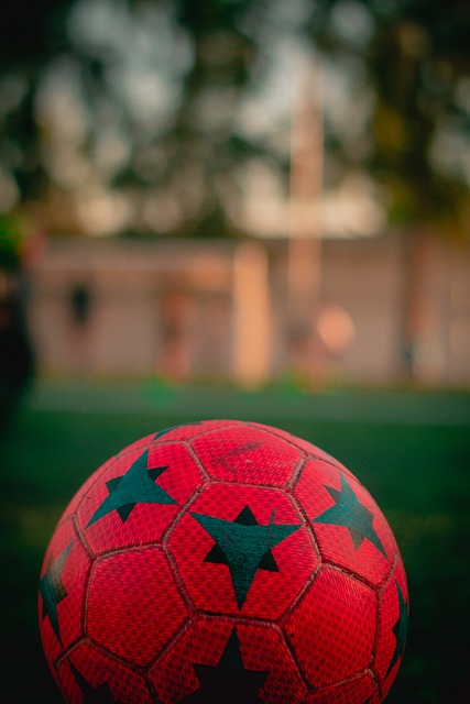 的高度專注 的高度專注