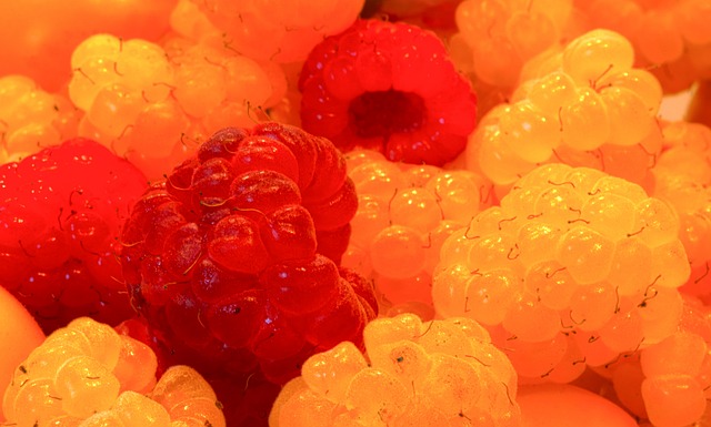 的球迷文化 的球迷文化