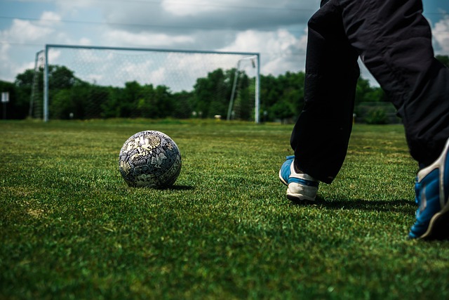 便可支持多 便可支持多